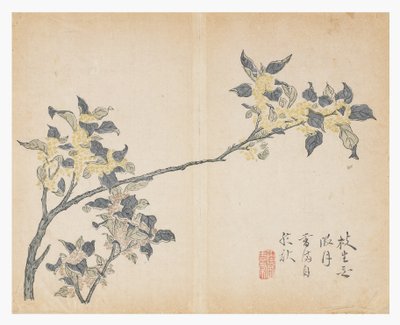 Sinapinsiemenpuutarha tekijältä Chinese School