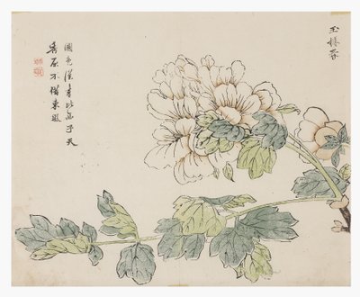 Sinapinsiemenpuutarha tekijältä Chinese School