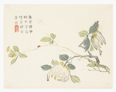 Sinapinsiemenpuutarha tekijältä Chinese School
