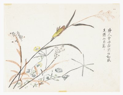 Sinapinsiemenpuutarha tekijältä Chinese School