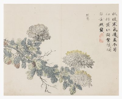 Sinapinsiemenpuutarha tekijältä Chinese School