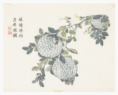 Sinapinsiemenpuutarha tekijältä Chinese School