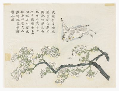 Sinapinsiemenpuutarha tekijältä Chinese School