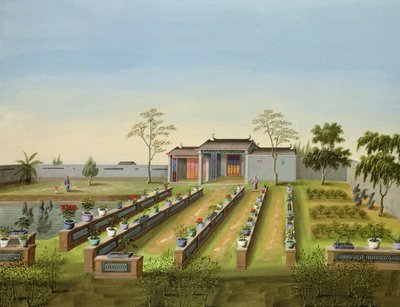 Taimitarha, n. 1820-40 (wc paperilla) tekijältä Chinese School
