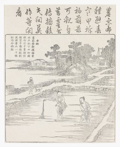 Riisin kylvö siemenpetiin., 1700-luku tekijältä Chinese School