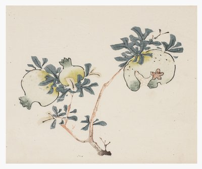 Ten Bamboo -sarja, 1700-luku tekijältä Chinese School