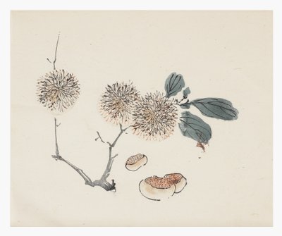 Ten Bamboo -sarja, 1700-luku tekijältä Chinese School