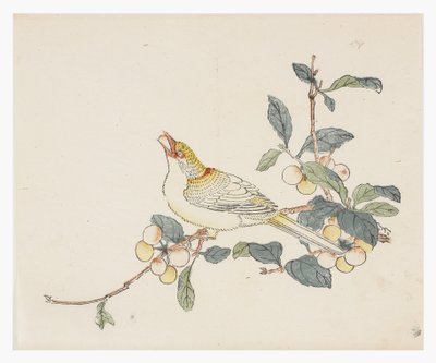 Ten Bamboo -sarja, 1700-luku tekijältä Chinese School