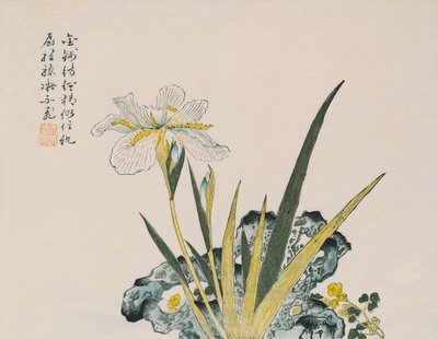 Puutarha kuin sinapinjyvä, 1600-1700 tekijältä Chinese School