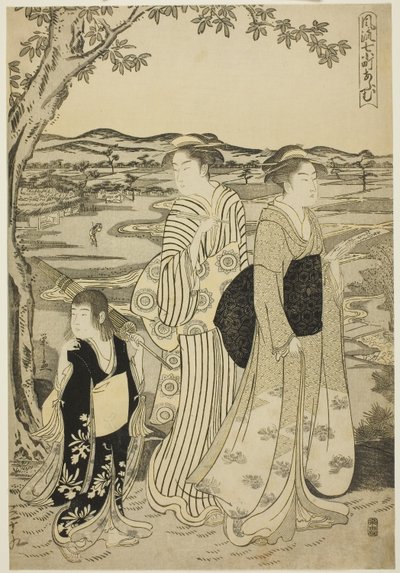Papukaija Komachi, sarjasta The Fashionable Seven Komachi (Furyu nana Komachi), noin 1788 (värillinen puupiirros; oban). tekijältä Chobunsai Eishi