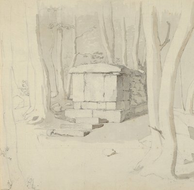 Kivihauta metsässä, verso: Study of a Flower, 1830. tekijältä Christen Købke