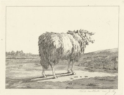 Lampaat maisemassa tekijältä Christiaan Godfried Schutze van Houten