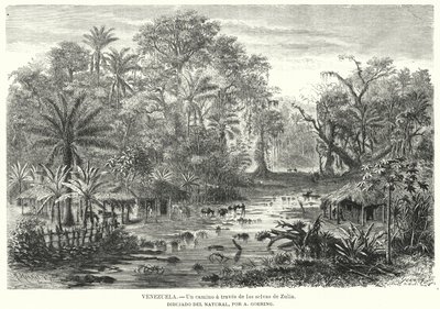 Polku Zulian viidakoiden läpi, Venezuela (litho) tekijältä Christian Anton Goering