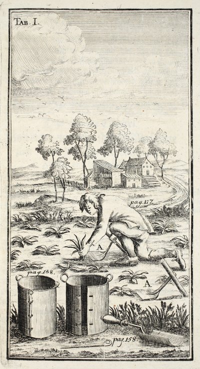 Puutarhurin sadonkorjuu, pub. Erfurt Thüringenissä, 1753-55 tekijältä Christian Reicharts
