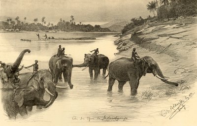 Norsuja Mahaweli-joen rannalla, Ceylon, 1898. tekijältä Christian Wilhelm Allers