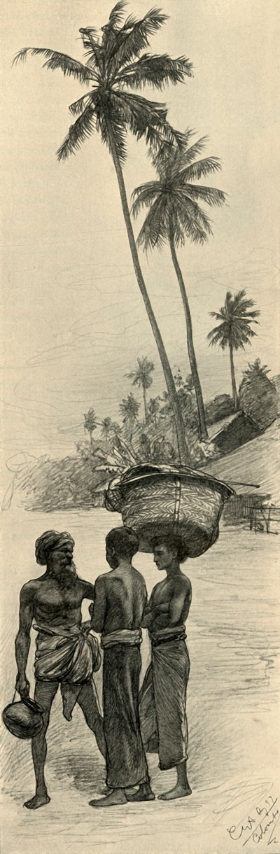 Miesten ryhmä, Colombo, Ceylon, 1898. tekijältä Christian Wilhelm Allers