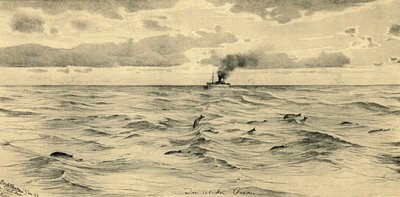 Höyrylaiva Intian valtamerellä, 1898. tekijältä Christian Wilhelm Allers
