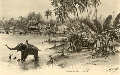 Elefantin peseminen joessa, Colombo, Ceylon, 1898. tekijältä Christian Wilhelm Allers