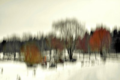 Tiivistelmä: Talvimetsä tekijältä Christina Sillen