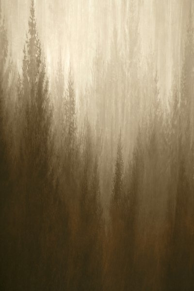 Metsäsumu tekijältä Christina Sillen