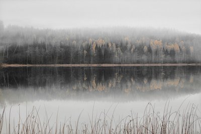 Sumuisen syksyn järvi tekijältä Christina Sillen