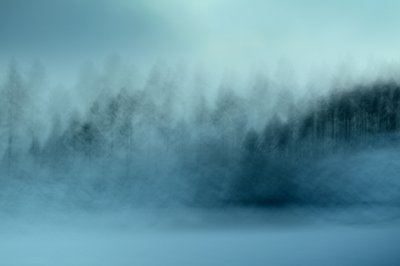 Sumuisen sininen metsä tekijältä Christina Sillen