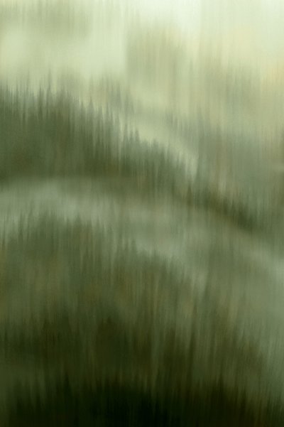Sumuisen metsän rauha tekijältä Christina Sillen