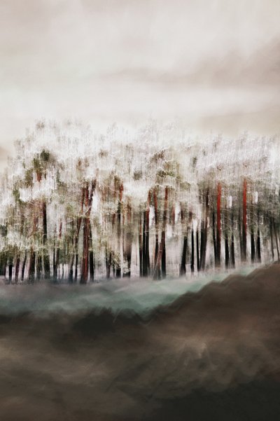 Sumuisen metsän rauha tekijältä Christina Sillen
