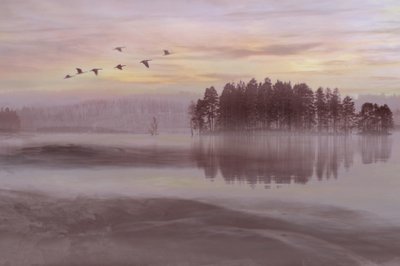 Misty Lake - lintujen lento tekijältä Christina Sillen