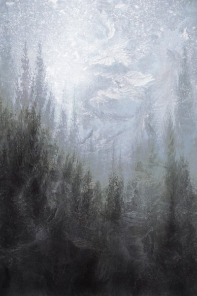 Sumuiset talvimetsät tekijältä Christina Sillen