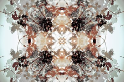 Hillitty kasvitieteellinen kaleidoskooppi tekijältä Christina Sillen