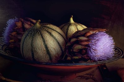 Melonit ja purppura-ohdakkeet tekijältä Christine SUISSIA