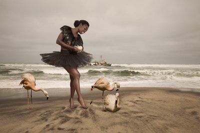 Ballerina ja rannan flamingot tekijältä Christine von Diepenbroek