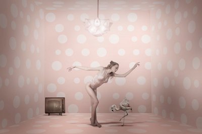 Vaaleanpunainen, pilkullinen flamingotanssija tekijältä Christine von Diepenbroek