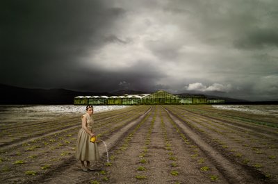 Yksinäinen puutarhuri Stormy Field tekijältä Christine von Diepenbroek