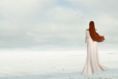 Talvinen nainen ja linnut tekijältä Christine von Diepenbroek