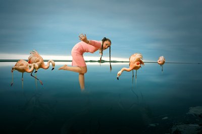 Nainen flamingojen keskellä tekijältä Christine von Diepenbroek