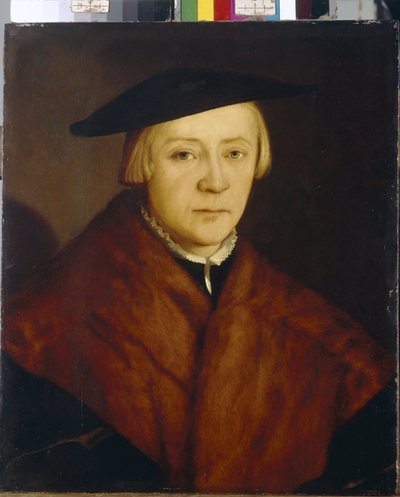 Miehen muotokuva (miehen muotokuva). Maalaus Christophe Amberger (noin 1500-1562), öljy puulle, vuoden 1548 jälkeen. Saksalainen taide tekijältä Christoph Amberger