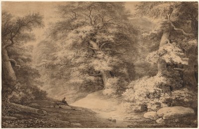Pyökkipuu lepäävän matkustajan kanssa, 1803. tekijältä Christoph Nathe