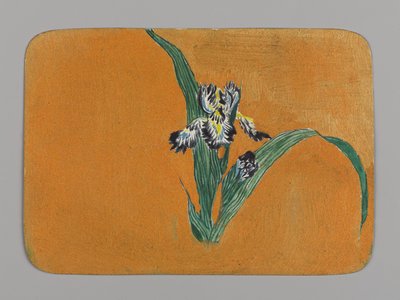 Pieni kortti, jossa iiris, n. 1880. Akvarelli ja metallinen muste tekijältä Christopher Grant La Farge