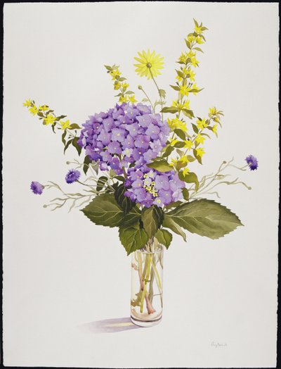 Sininen hortensia keltaisella Loosestrifella (wc) tekijältä Christopher Ryland