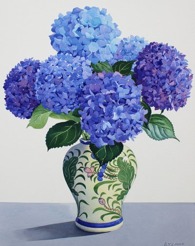 Blue Hydrangeas (akvarelli paperille) tekijältä Christopher Ryland
