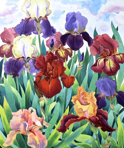 Glemsford Irises tekijältä Christopher Ryland