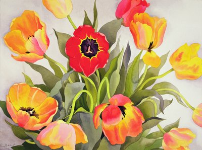 Oranssit ja punaiset tulppaanit (wc) tekijältä Christopher Ryland