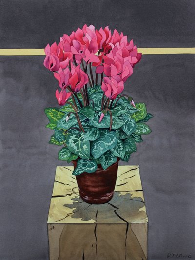 Still Life Cyclamen (akvarelli paperille) tekijältä Christopher Ryland