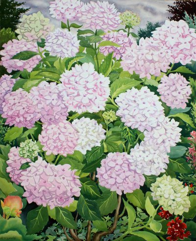 Valkoinen hortensia tekijältä Christopher Ryland