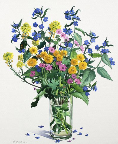 Wild Flowers with alkanet, 2021 (akvarelli paperille) tekijältä Christopher Ryland