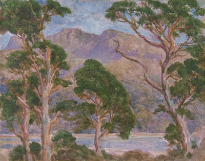Cader Idris (öljy kankaalle) tekijältä Christopher Williams