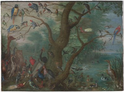 Lintujen konsertti tekijältä Circle of Jan van Kessel the Elder
