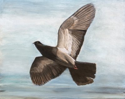  tekijältä Claire Lerner